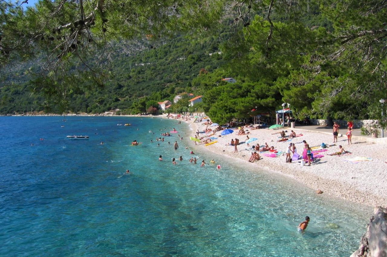 איגריין Apartments By The Sea Zivogosce - Porat, Makarska - 20207 מראה חיצוני תמונה